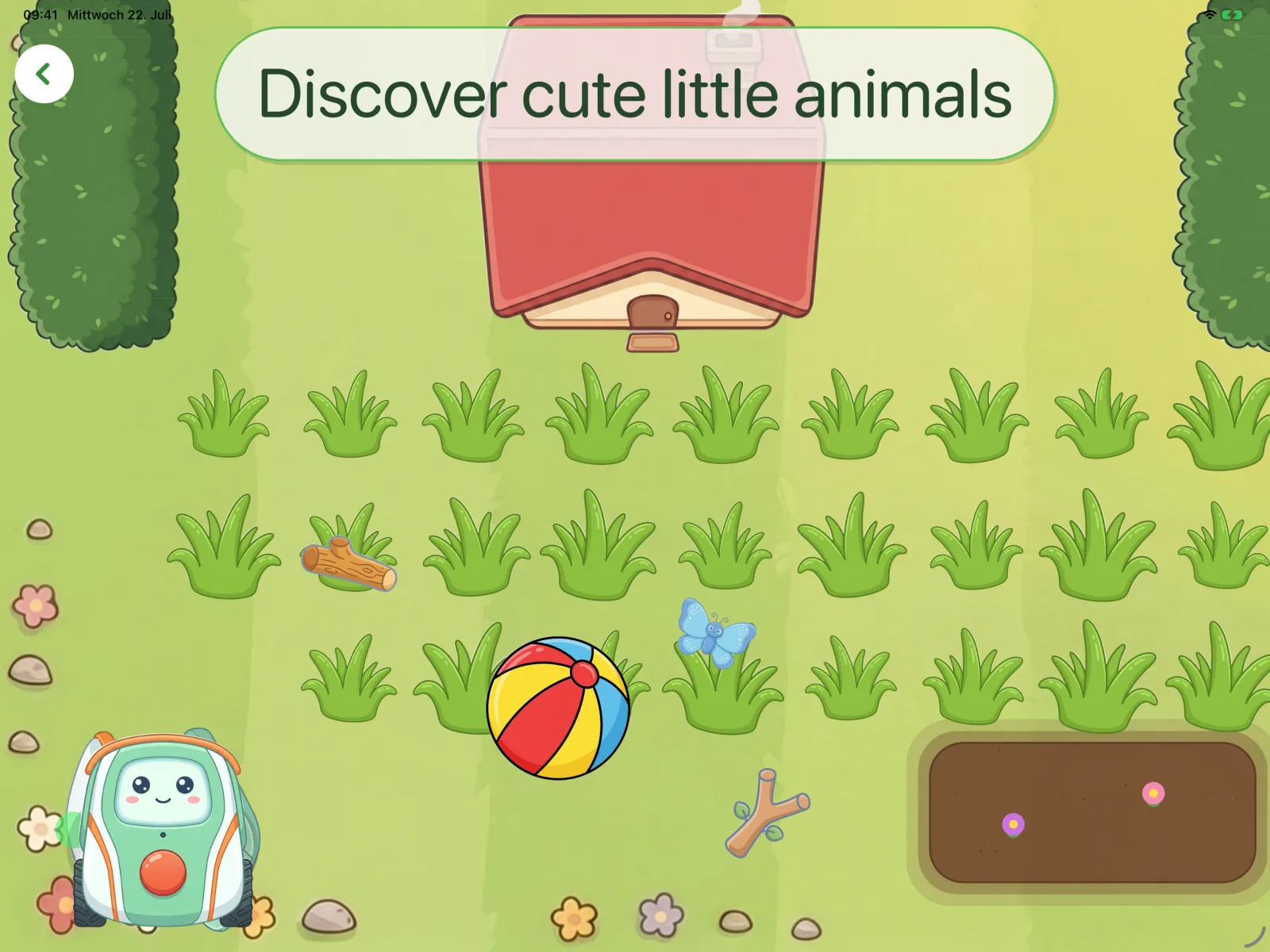 Discover cute little animals